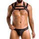 Комплект мужского белья с креплениями Passion 043 JACOB L/XL Black, трусы, шлейка SO7600 фото 1