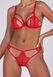 Комплект Passion ANUVERA SET fire brick S SX2900 фото 3